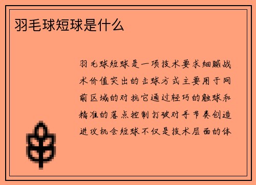 羽毛球短球是什么